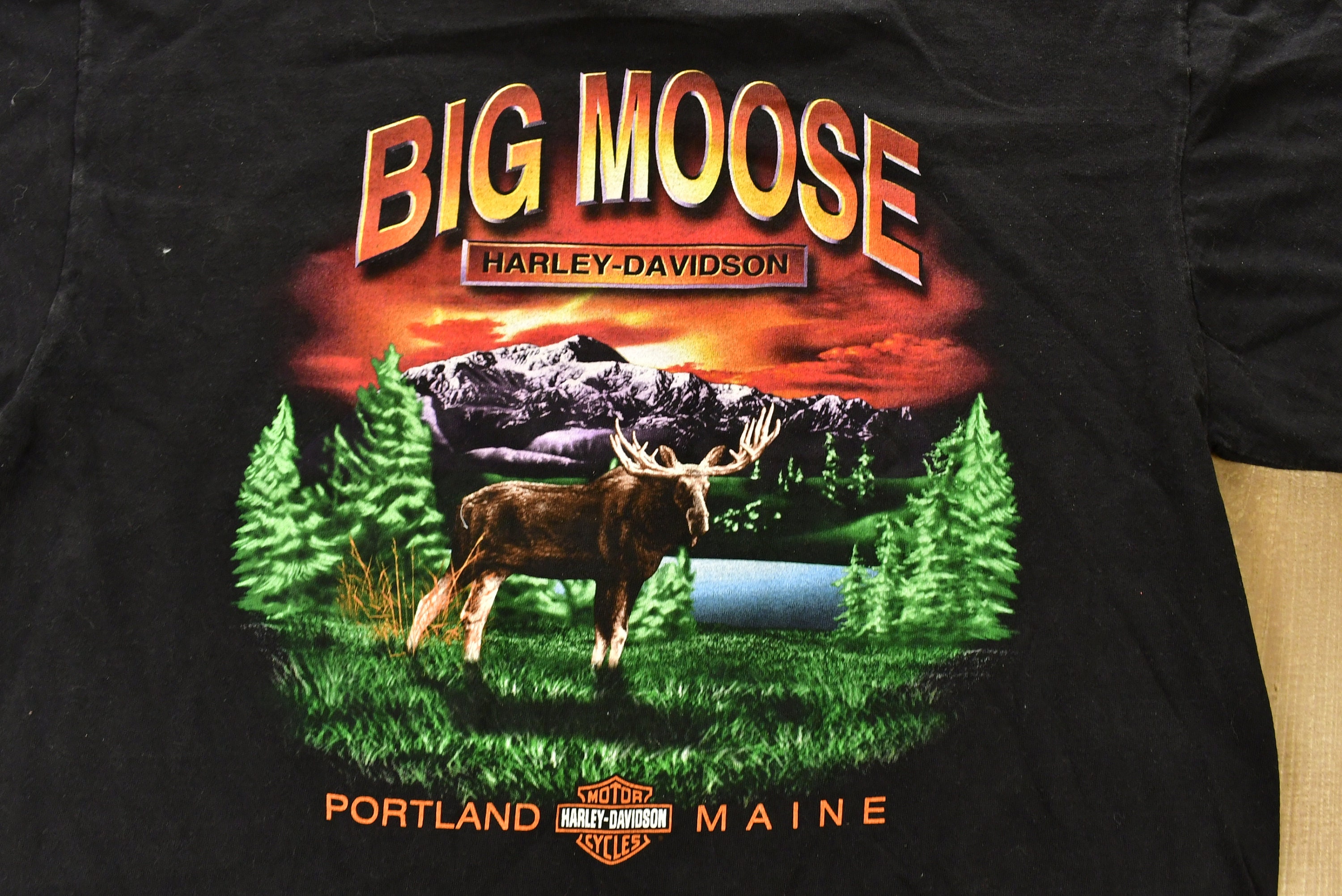 Vintage 2000 Harley Davidson Motorcycles Skull T-shirt / Big Moose 