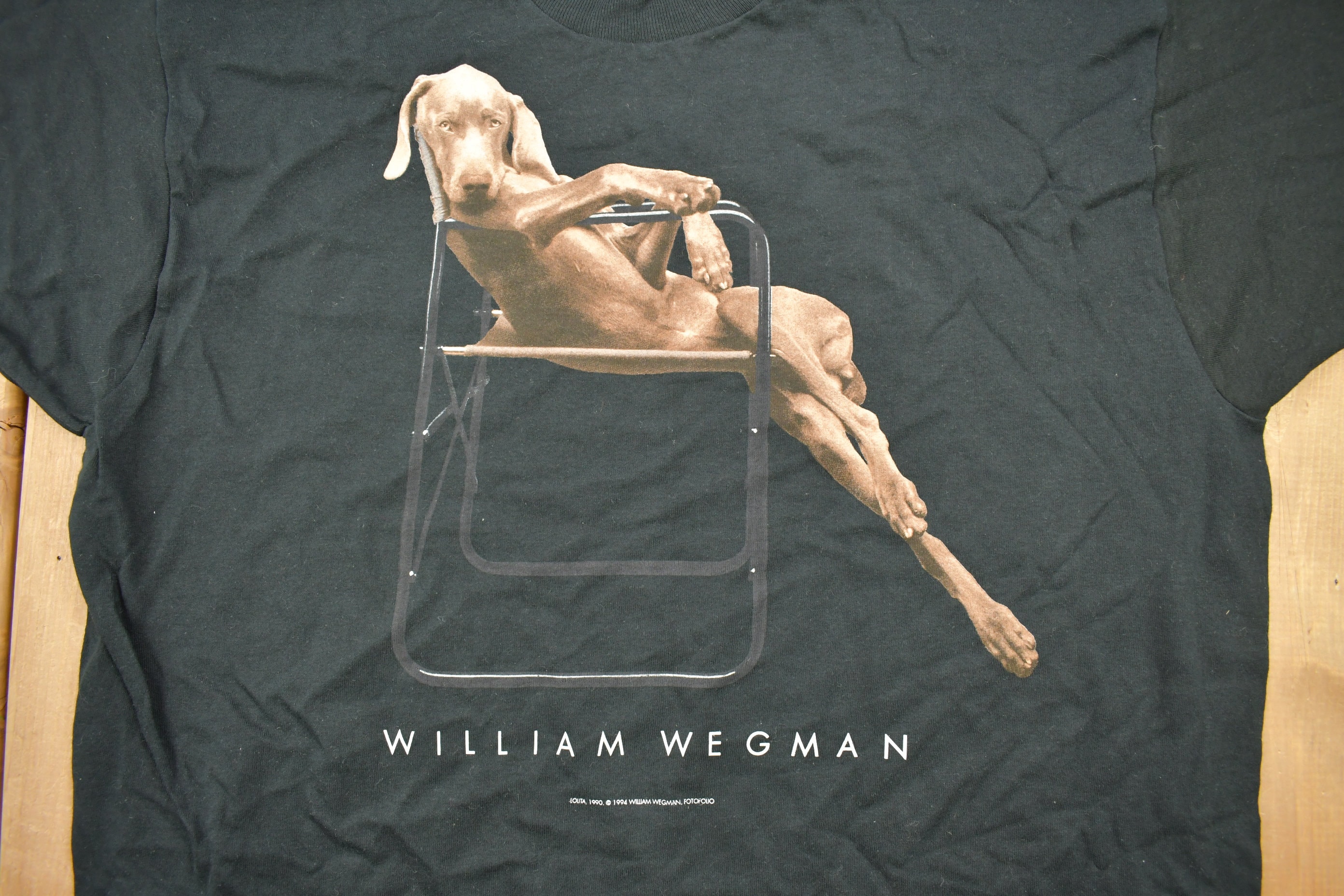 チャンピオン コレクター必見 90s Wegman William T-shirt William