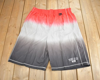 Vintage 1990s Fubu & Co Multi Color Baggy Shorts Size XXL / 90s Shorts / 90s Style / Streetwear / 90s Fubu/ Jorts