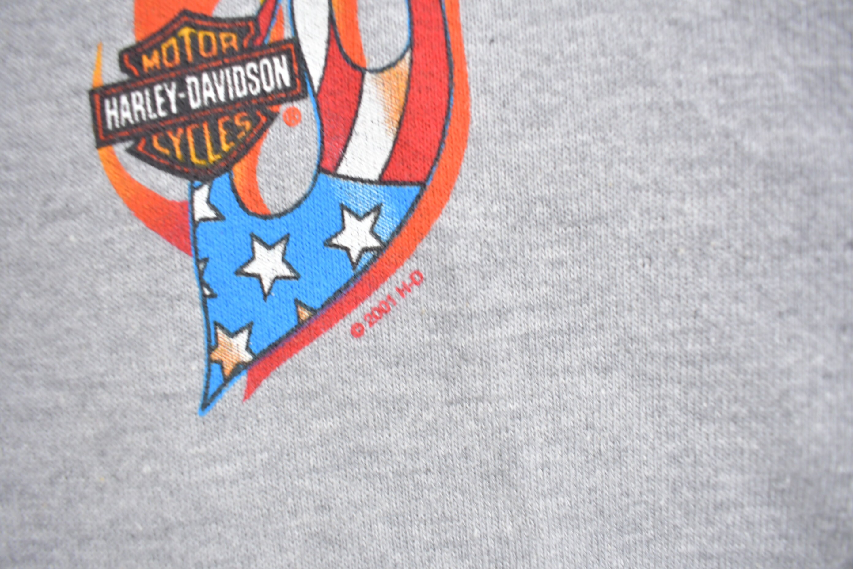 Vintage 2001 Harley Davidson Racine Wisconsin Zip up Hoodie / Etsy