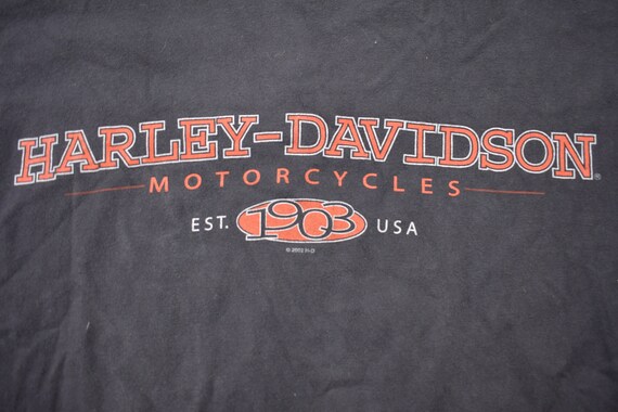 Vintage 2002 Harley Davidson Thunder Mountain Ft … - image 3