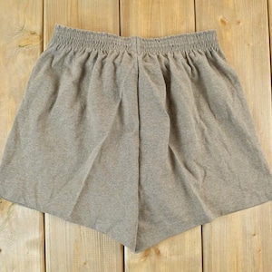 Vintage 1990s Soffe Brown Athletic Shorts / 90s Vintage Shorts / Vintage Summer Shorts / Made in USA / Swimwear