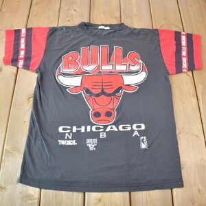 Vintage 1990s Chicago Bulls NBA Graphic T-Shirt / NBA Basketball / 90s Streetwear / Sportswear / Bulls Tee