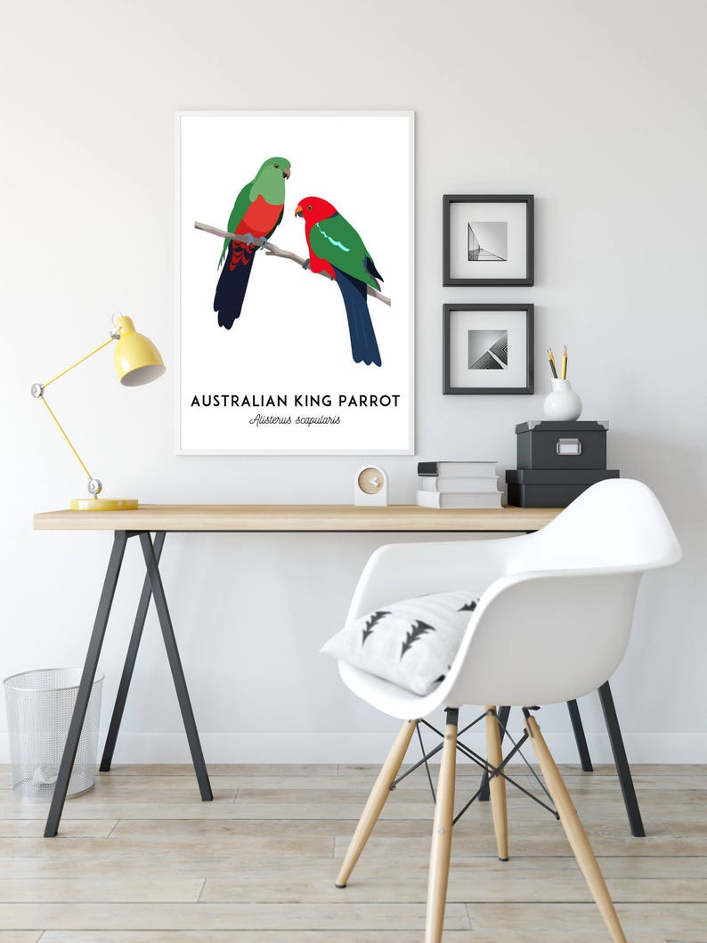 King Parrot art, printable bird print, animal print, bird art, Australian native, Australian wildlife, nursery prints, nursery wall art image 3