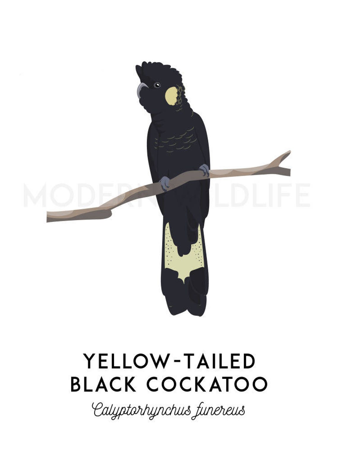 Yellowtailed Black Cockatoo Print, Printable Bird Print, Animal Print