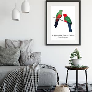 King Parrot art, printable bird print, animal print, bird art, Australian native, Australian wildlife, nursery prints, nursery wall art image 4