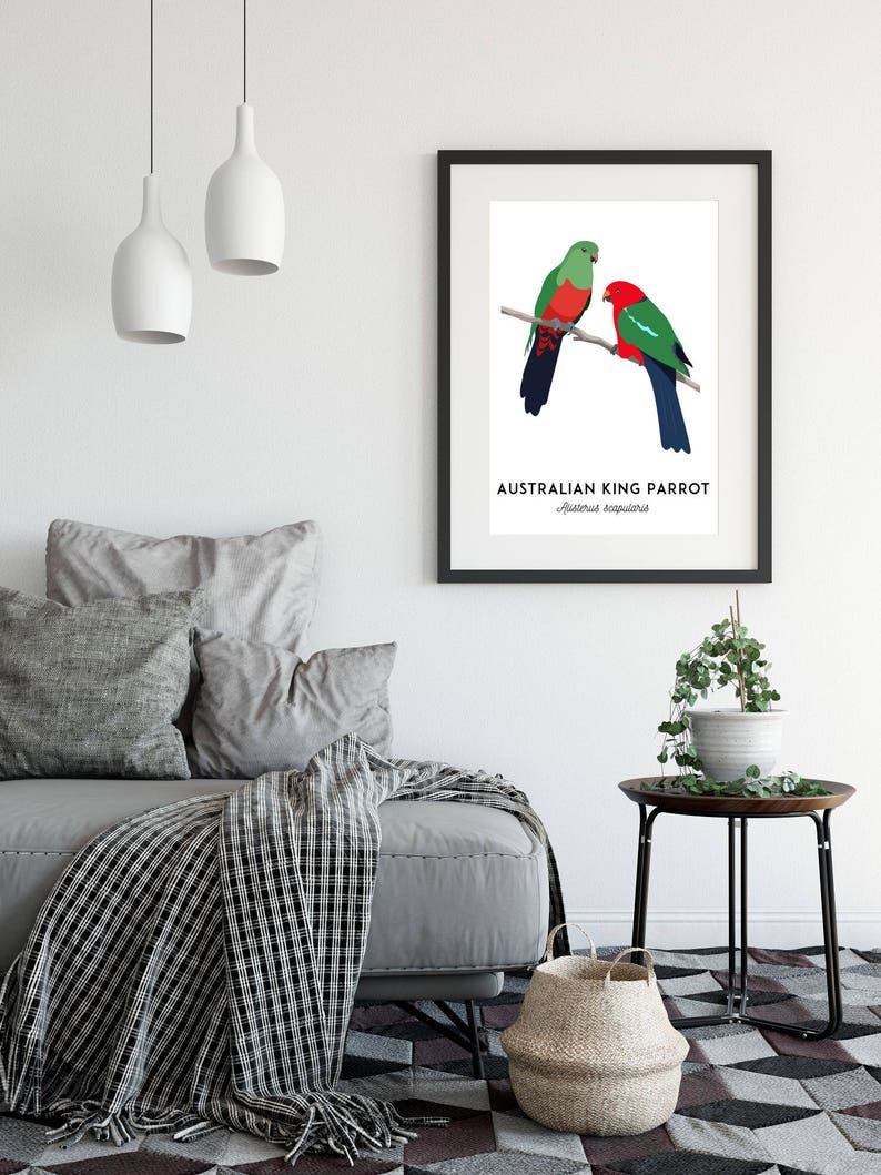 King Parrot art, printable bird print, animal print, bird art, Australian native, Australian wildlife, nursery prints, nursery wall art image 4