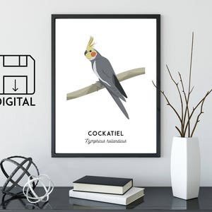 Cockatiel print, printable bird print, animal print, Australian native wall art, Australian wildlife art, nursery prints, nursery art image 1