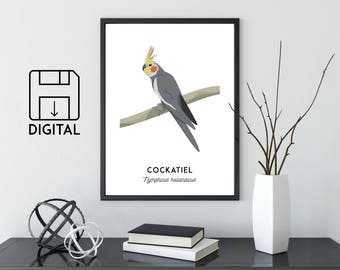 Cockatiel print, printable bird print, animal print, Australian native wall art, Australian wildlife art, nursery prints, nursery art