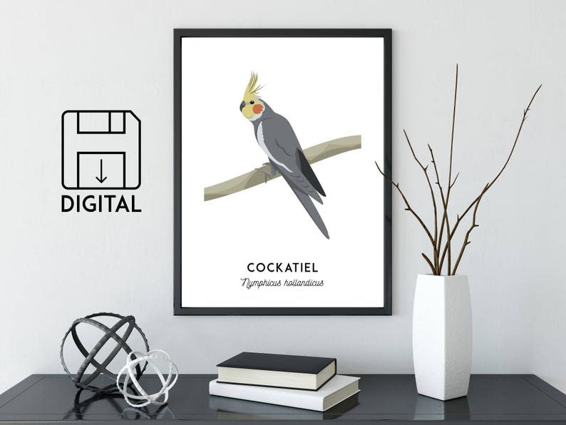 Cockatiel print, printable bird print, animal print, Australian native wall art, Australian wildlife art, nursery prints, nursery art image 1