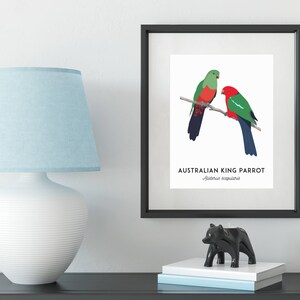 King Parrot art, printable bird print, animal print, bird art, Australian native, Australian wildlife, nursery prints, nursery wall art image 5
