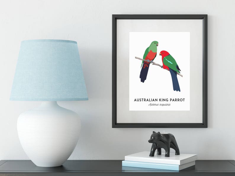 King Parrot art, printable bird print, animal print, bird art, Australian native, Australian wildlife, nursery prints, nursery wall art image 5