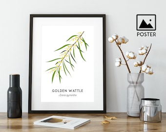 Golden Wattle poster, Acacia art, Acacia print, Wattle art, flower print, Australian native, Australian art, nursery art, nursery decor