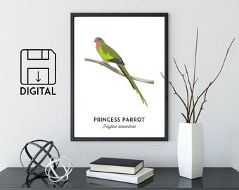 Princess Parrot print, printable bird print, animal print, Australian native wall art, Australian wildlife art, nursery prints, nursery art