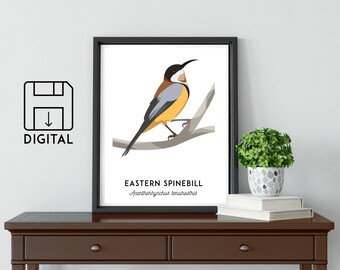 Eastern Spinebill art, bird art, printable bird print, animal poster, animal print, Australian wildlife, nursery prints, nursery wall art