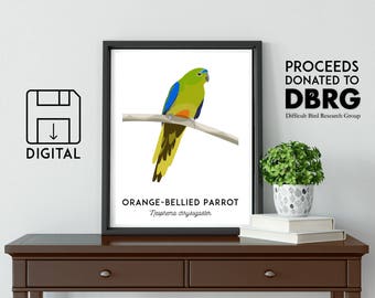 Orange Bellied Parrot print, printable bird print, animal print, Australian wall art, Australian wildlife art, nursery prints, nursery art