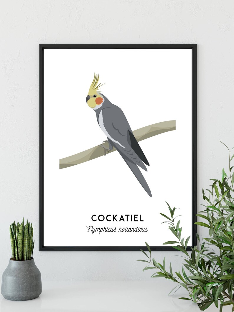 Cockatiel print, printable bird print, animal print, Australian native wall art, Australian wildlife art, nursery prints, nursery art image 9
