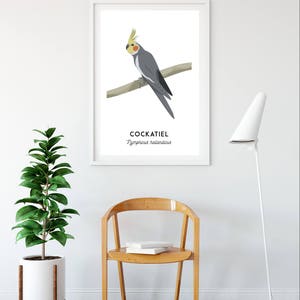 Cockatiel print, printable bird print, animal print, Australian native wall art, Australian wildlife art, nursery prints, nursery art image 7