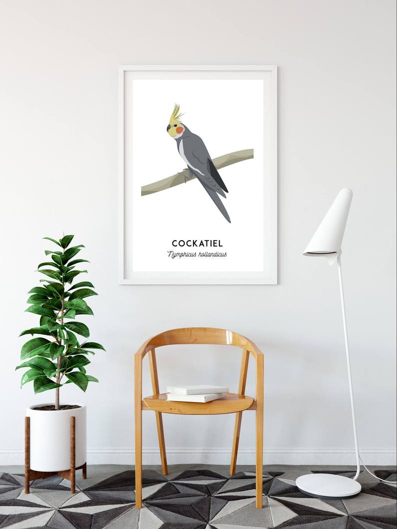 Cockatiel print, printable bird print, animal print, Australian native wall art, Australian wildlife art, nursery prints, nursery art image 7