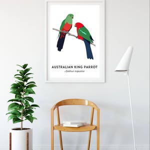 King Parrot art, printable bird print, animal print, bird art, Australian native, Australian wildlife, nursery prints, nursery wall art image 6