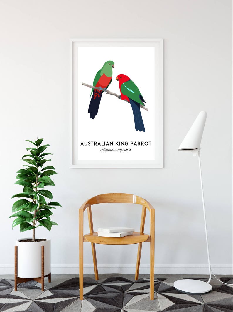 King Parrot art, printable bird print, animal print, bird art, Australian native, Australian wildlife, nursery prints, nursery wall art image 6