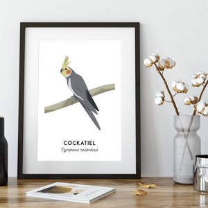 Cockatiel print, printable bird print, animal print, Australian native wall art, Australian wildlife art, nursery prints, nursery art image 10