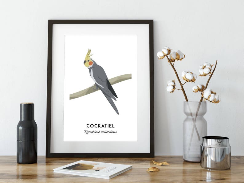 Cockatiel print, printable bird print, animal print, Australian native wall art, Australian wildlife art, nursery prints, nursery art image 10