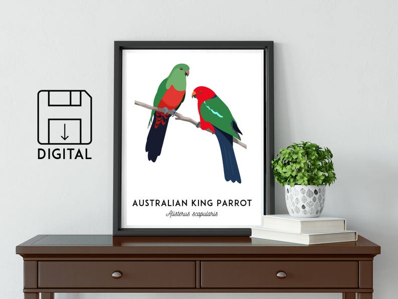 King Parrot art, printable bird print, animal print, bird art, Australian native, Australian wildlife, nursery prints, nursery wall art image 1