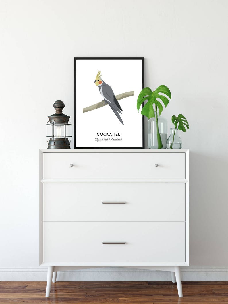 Cockatiel print, printable bird print, animal print, Australian native wall art, Australian wildlife art, nursery prints, nursery art image 8