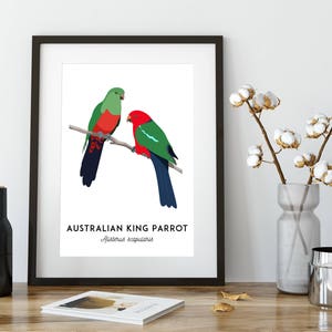 King Parrot art, printable bird print, animal print, bird art, Australian native, Australian wildlife, nursery prints, nursery wall art image 10