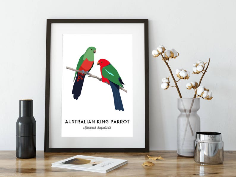 King Parrot art, printable bird print, animal print, bird art, Australian native, Australian wildlife, nursery prints, nursery wall art image 10