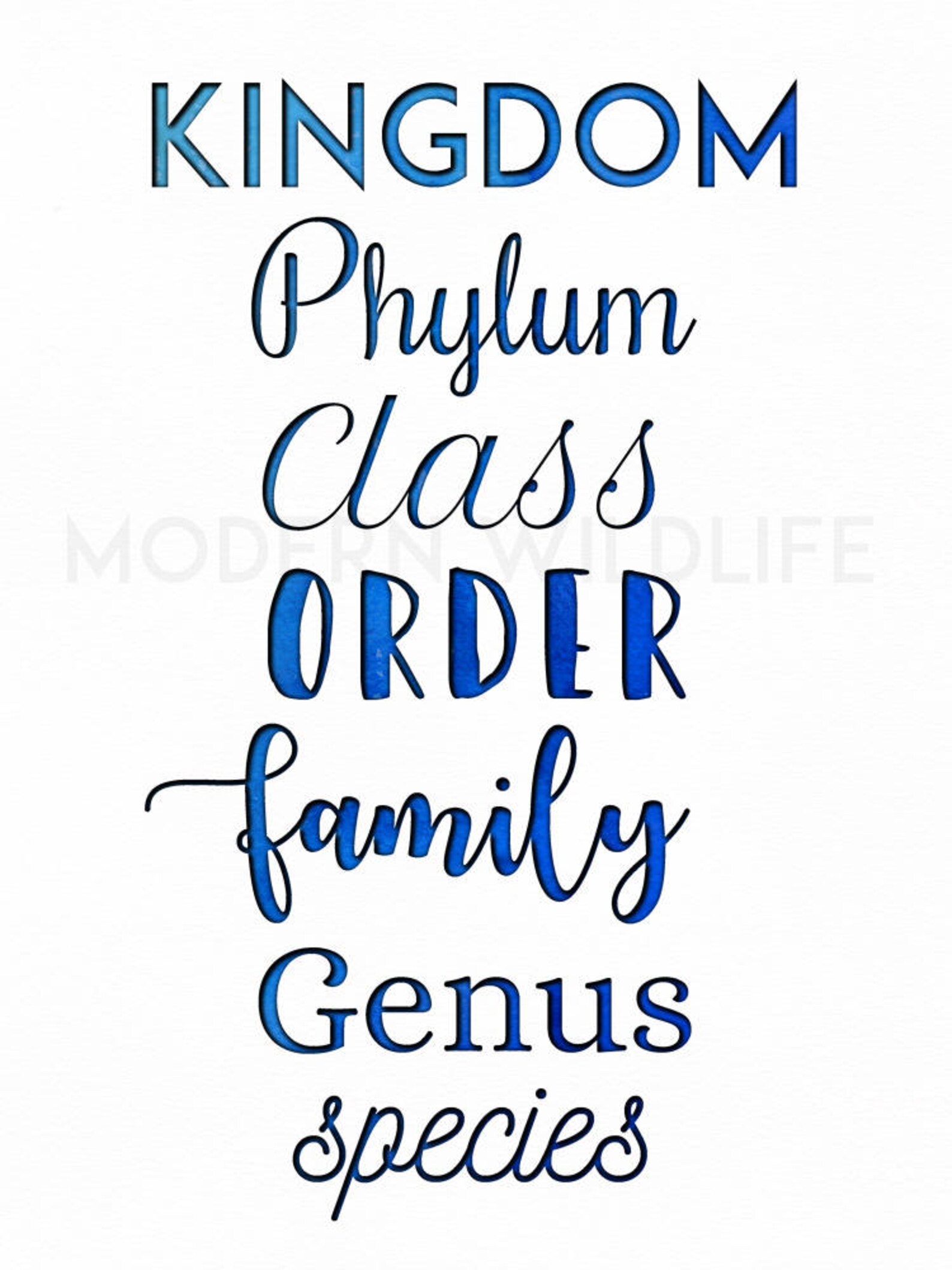 Biology Posters Set of 4 Taxonomic Ranks Printable - Etsy