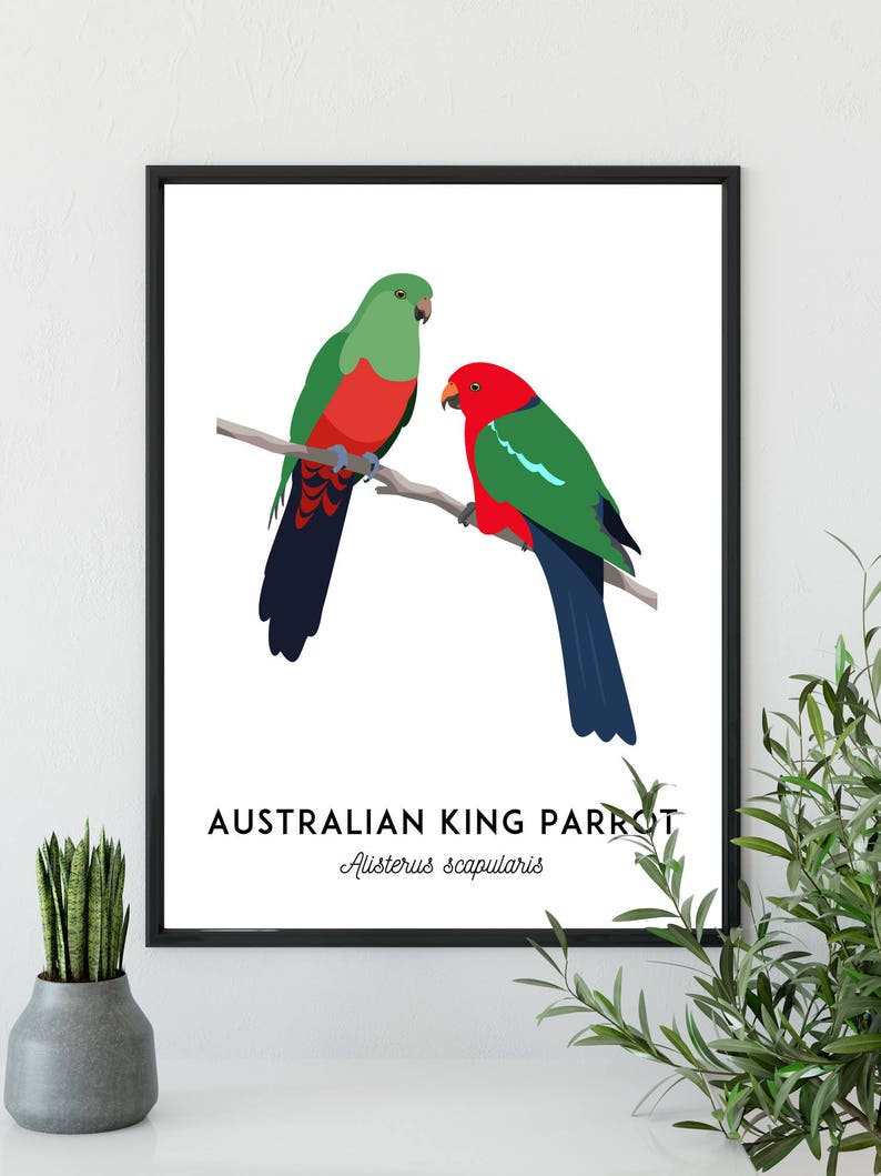 King Parrot art, printable bird print, animal print, bird art, Australian native, Australian wildlife, nursery prints, nursery wall art image 9