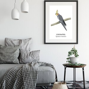 Cockatiel print, printable bird print, animal print, Australian native wall art, Australian wildlife art, nursery prints, nursery art image 4