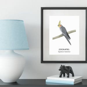 Cockatiel print, printable bird print, animal print, Australian native wall art, Australian wildlife art, nursery prints, nursery art image 5