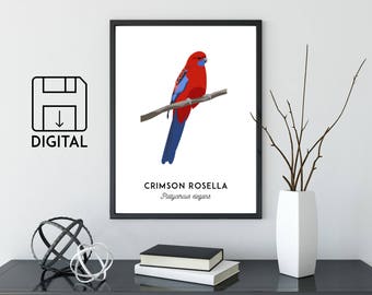 Crimson Rosella print, printable bird print, animal print, wall art, Australian wildlife art, nursery art, nursery decor, nursery prints