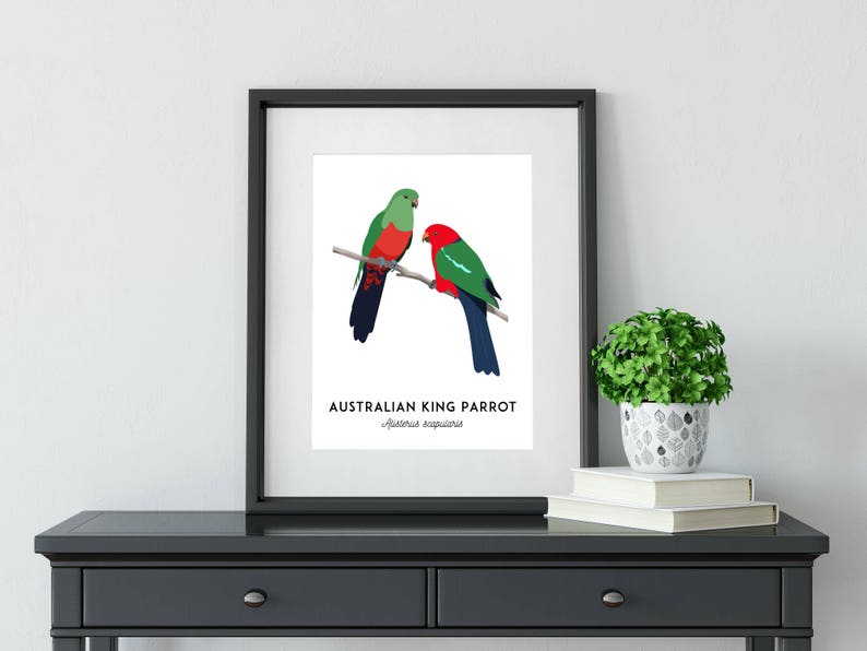 King Parrot art, printable bird print, animal print, bird art, Australian native, Australian wildlife, nursery prints, nursery wall art image 8
