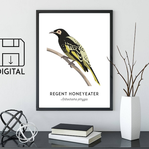 Regent Honeyeater art, bird art, printable bird print, animal poster, animal print, Australian wildlife, nursery prints, nursery wall art