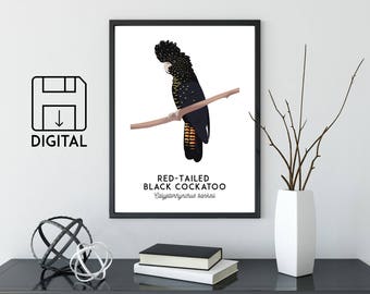 Red-Tailed Black Cockatoo print, printable bird print, animal print, Australian animal art, Australian wildlife art, nursery prints