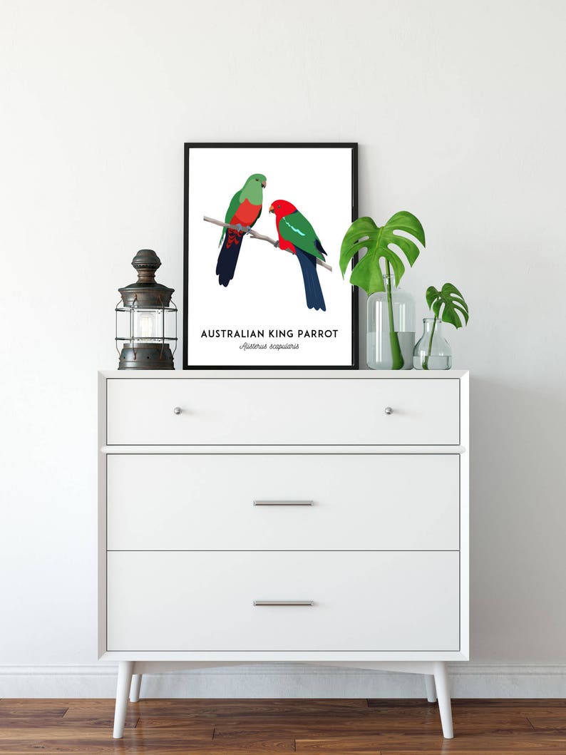 King Parrot art, printable bird print, animal print, bird art, Australian native, Australian wildlife, nursery prints, nursery wall art image 7