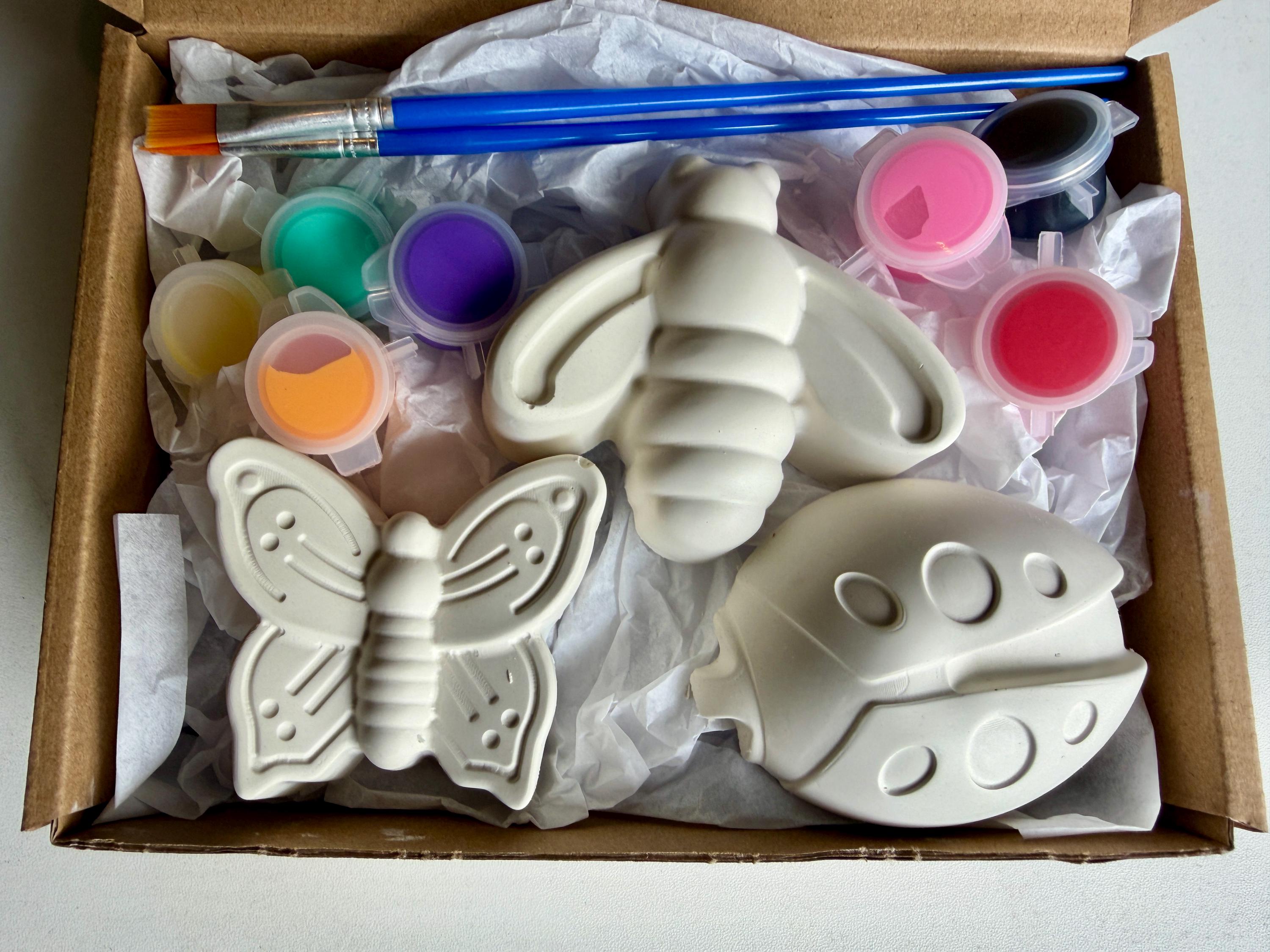 Plaster Insect Kit Plaster Insect Paint Kit, Birthday Craft Activity, Ladybug Bee ...