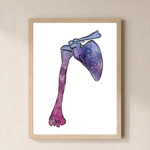 Puede incluir: Impresión en acuarela enmarcada de una estructura ósea del hombro y el brazo. La obra presenta un degradado de tonos morados y azules con un efecto moteado, sobre un fondo blanco. La esquina superior izquierda muestra el texto "ANATOGRAPHY", arte digital de anatomía humana.