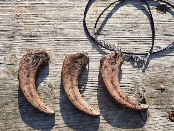 Raptor Claw Pendant/keychain/necklace 