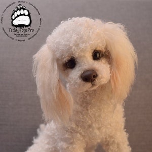 Juguetes para perros caniches hot sale