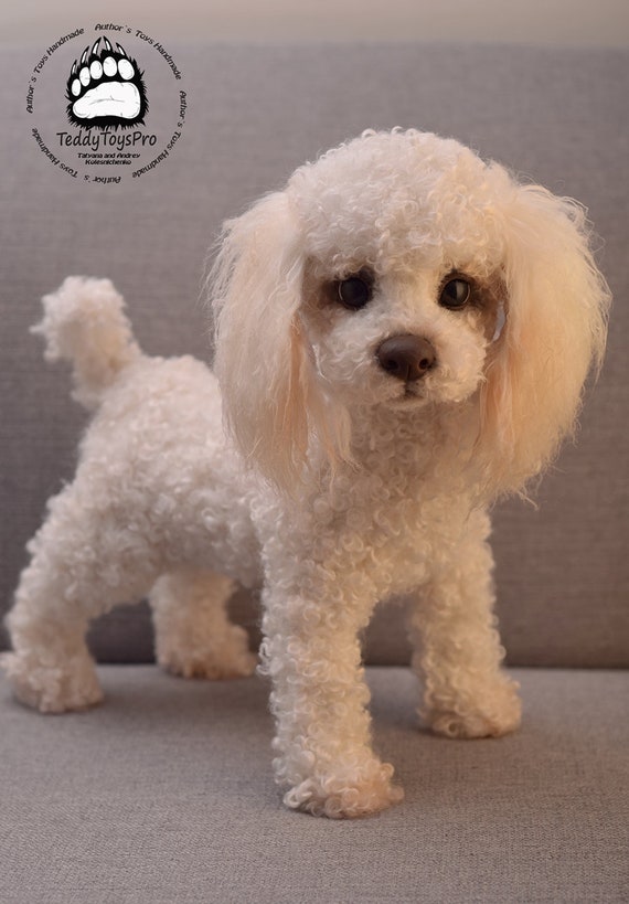 Puppy Leila made to Order Realistic Toy Poodle Dog Toy Poodle Fur Toy Poodle Felted Animal Gift Stuffed Animal Etsy Canada