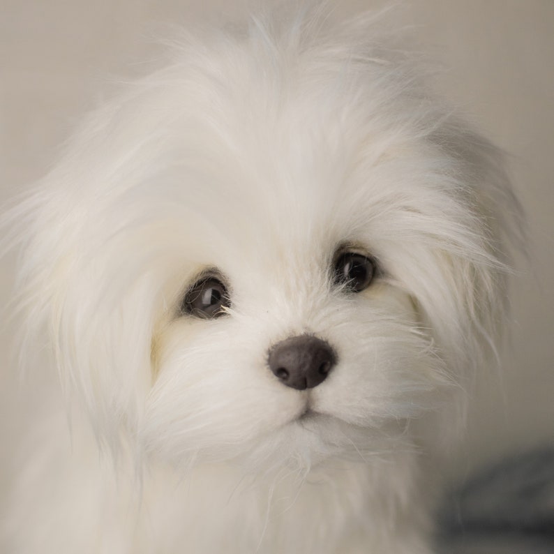 Bichon Maltez Lily, made to order Bichon Maltez, realistic toy image 1