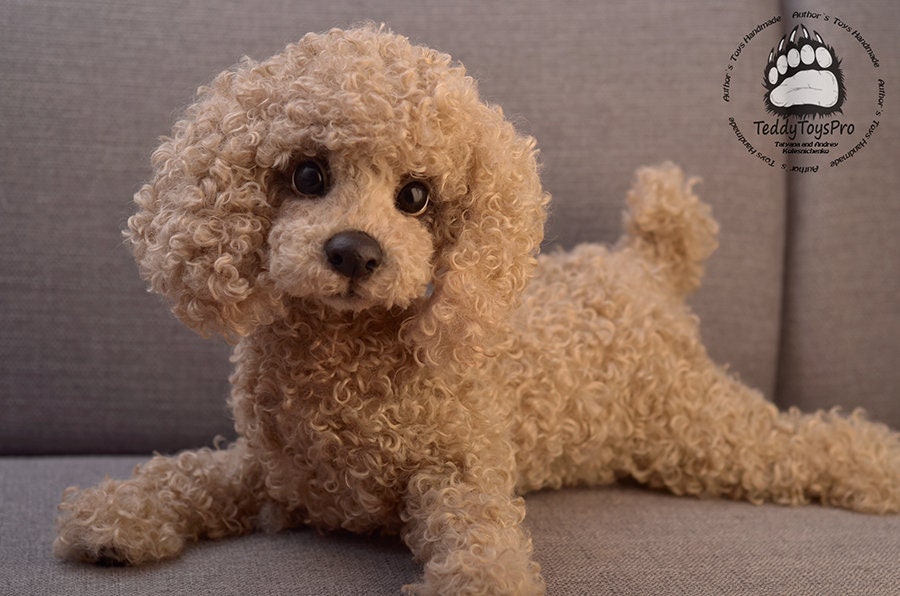 Puppy Daisy Realistic Toy, Poodle Dog , Toy Poodle, Fur Toy Poodle, Felted  Animal, Gift, Stuffed Animal -  Denmark