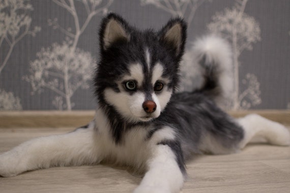 Husky Casper Realistic Toy made to Order Replica Husky Dog Toy Husky Felted Animal Gift Stuffed Animal Etsy Denmark
