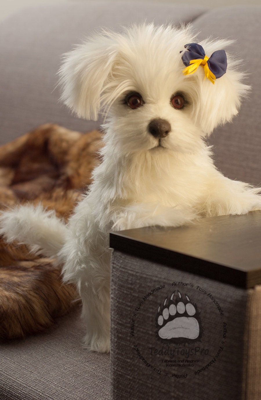 Bichon Maltez Christy made to Order Bichon Maltez Realistic Toy