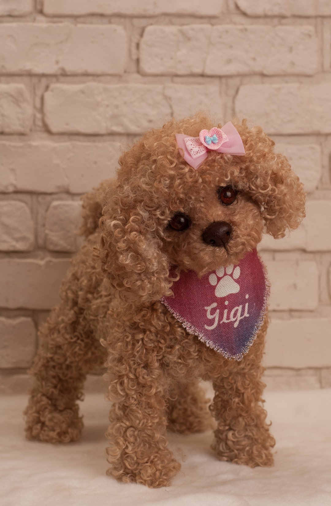 Kays hot sale toy poodles